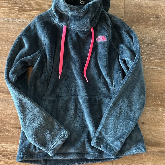 The North Face Osito Hoodie - Picture 9 of 9